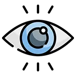 vision icon